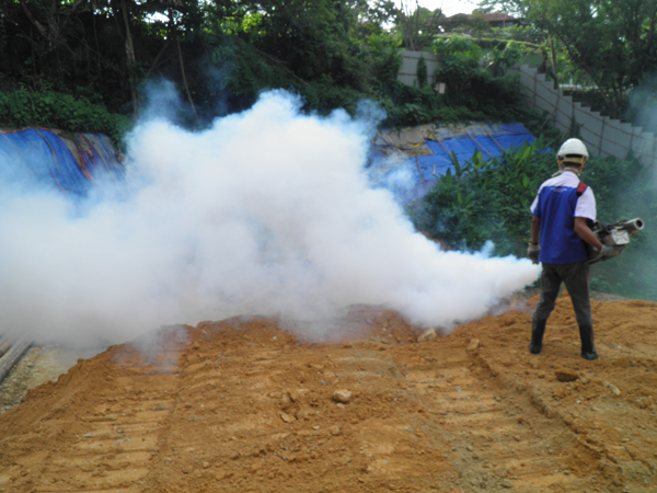 pest control services pest control services